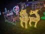 Blackwood Christmas Lights